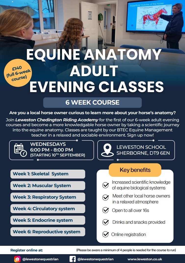 Equine Anatomy Adult Evening Classes