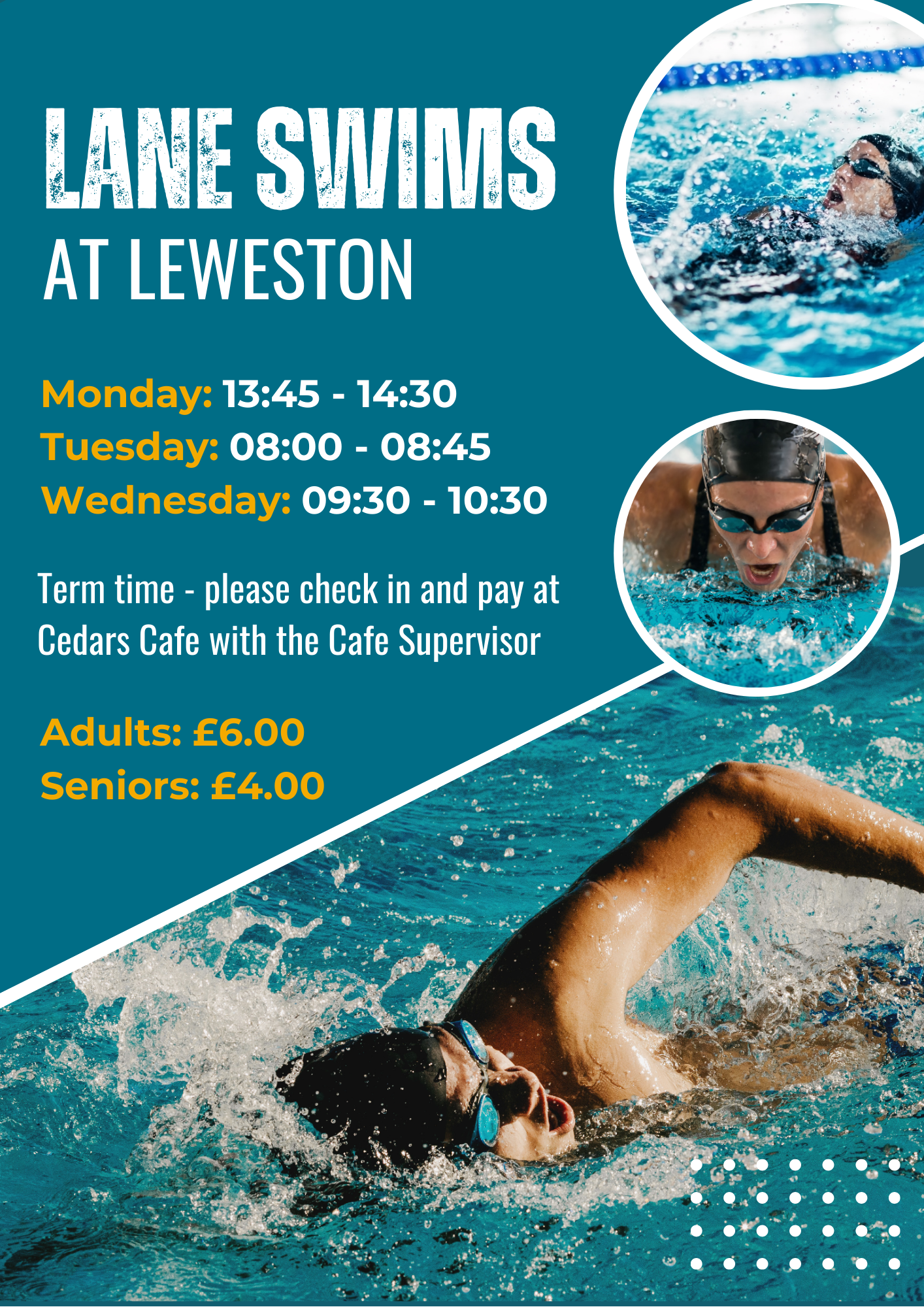 Lane Swims Updated February 2026