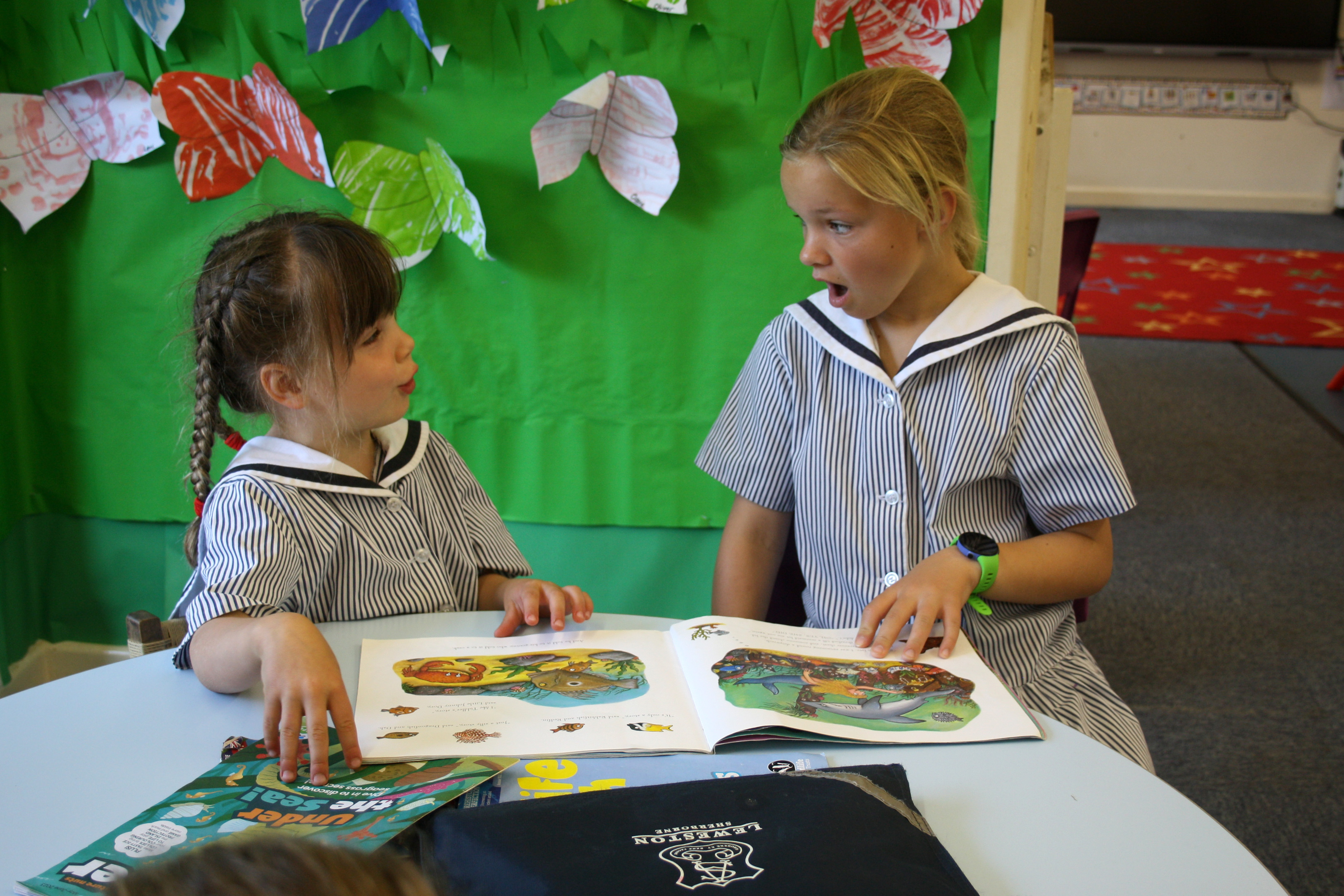 Leweston Prep Peer Mentor System